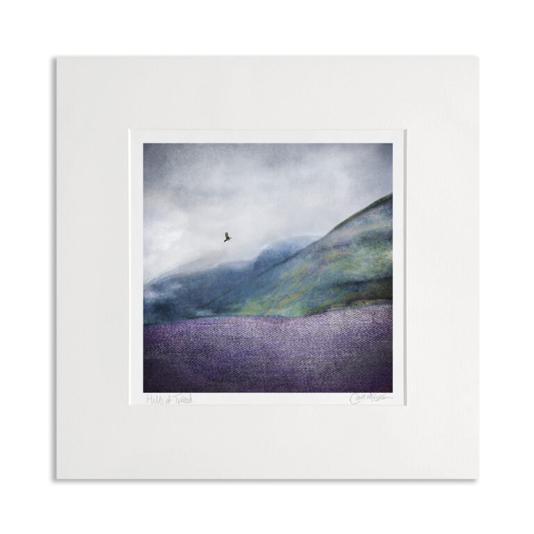 Hills of Tweed by Carol McEwan