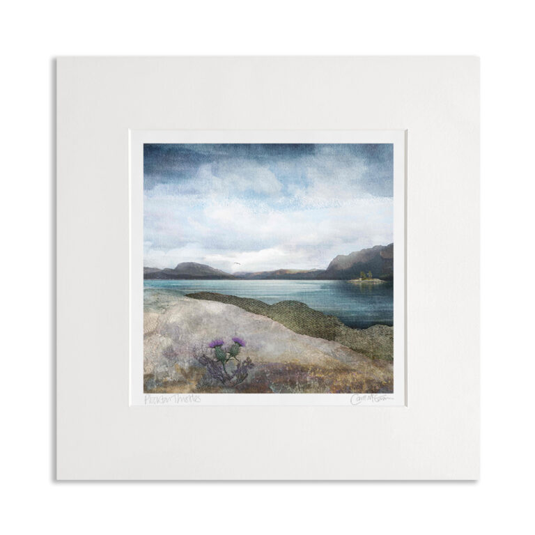Plockton Thistles by Carol McEwan